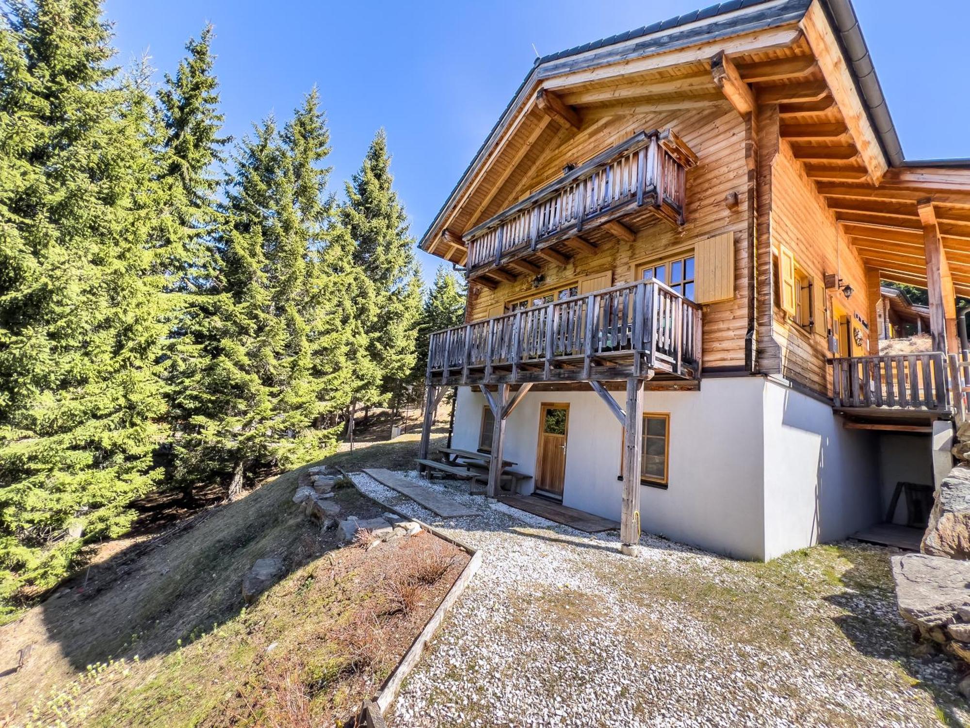 Villa 1A Chalet Enzianhuette - Ski Fahren Und Indoor Sauna Elsenbrunn Exterior foto